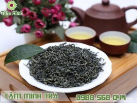 CHIA SẺ KINH NGHIỆM BẢO QUAN CHÈ KHÔ THÁI NGUYÊN