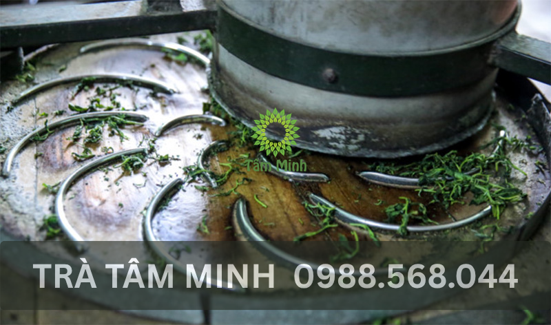 quy-trinh-che-bien-tra-thai-nguyen-thu-cong-ket-hop-may-moc-hien-dai