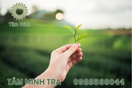 TÁC DỤNG CỦA TRÀ THÁI NGUYÊN MANG LẠI KHI DÙNG THƯỜNG XUYÊN MỖI NGÀY