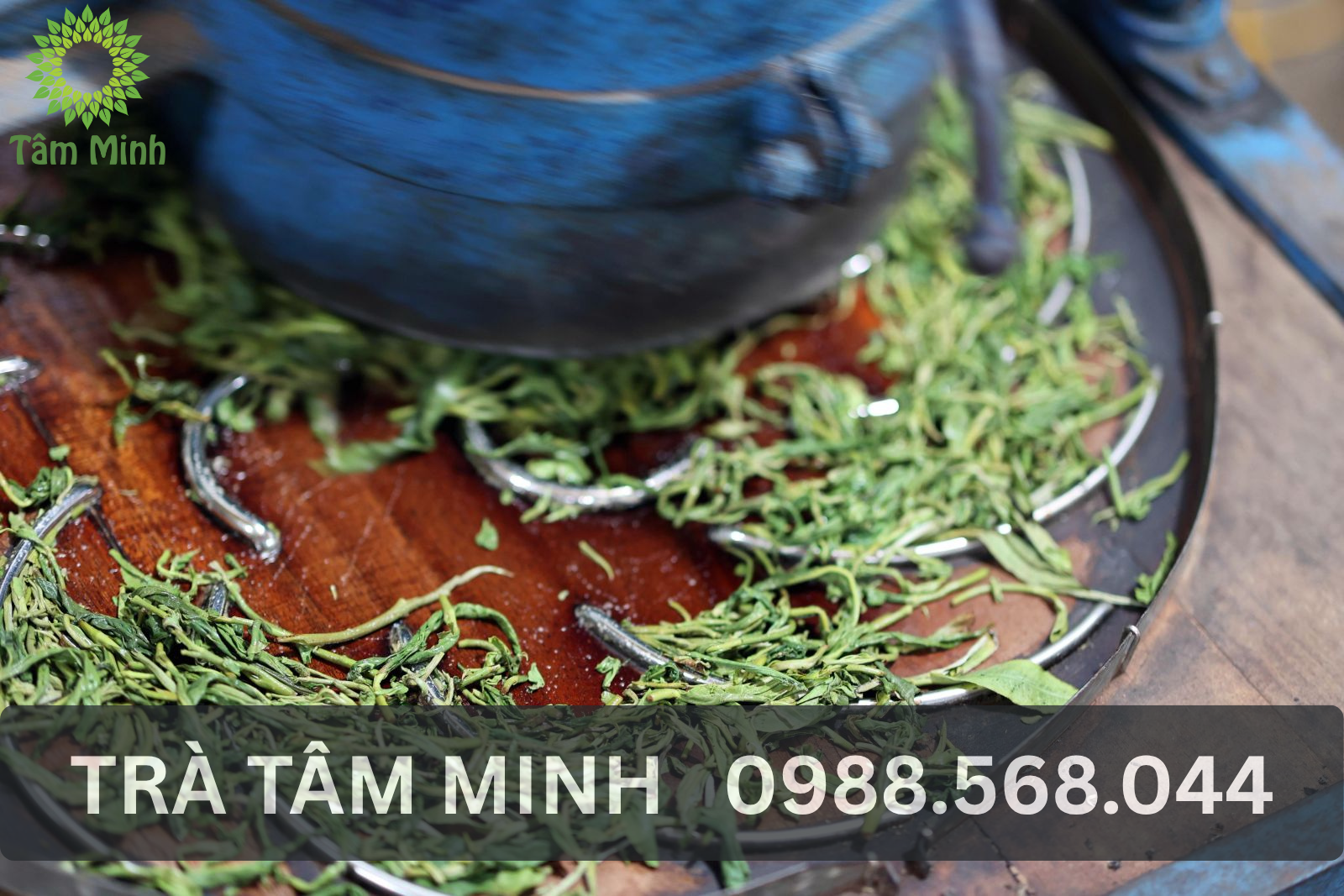 vo-tra-thai-nguyen-tao-hinh-va-giu-huong